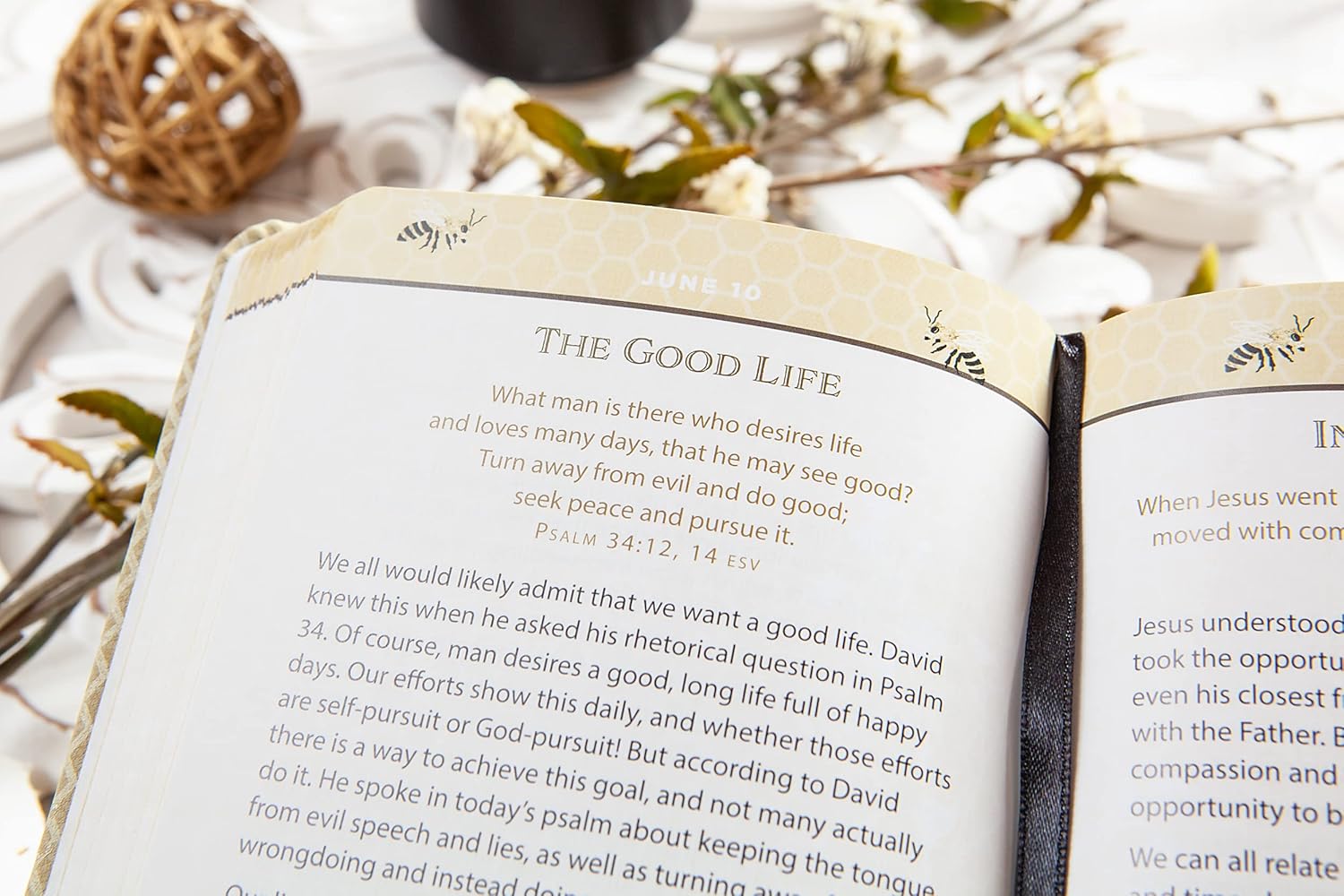 Sweeter Than Honey 365 Devotional Bundle