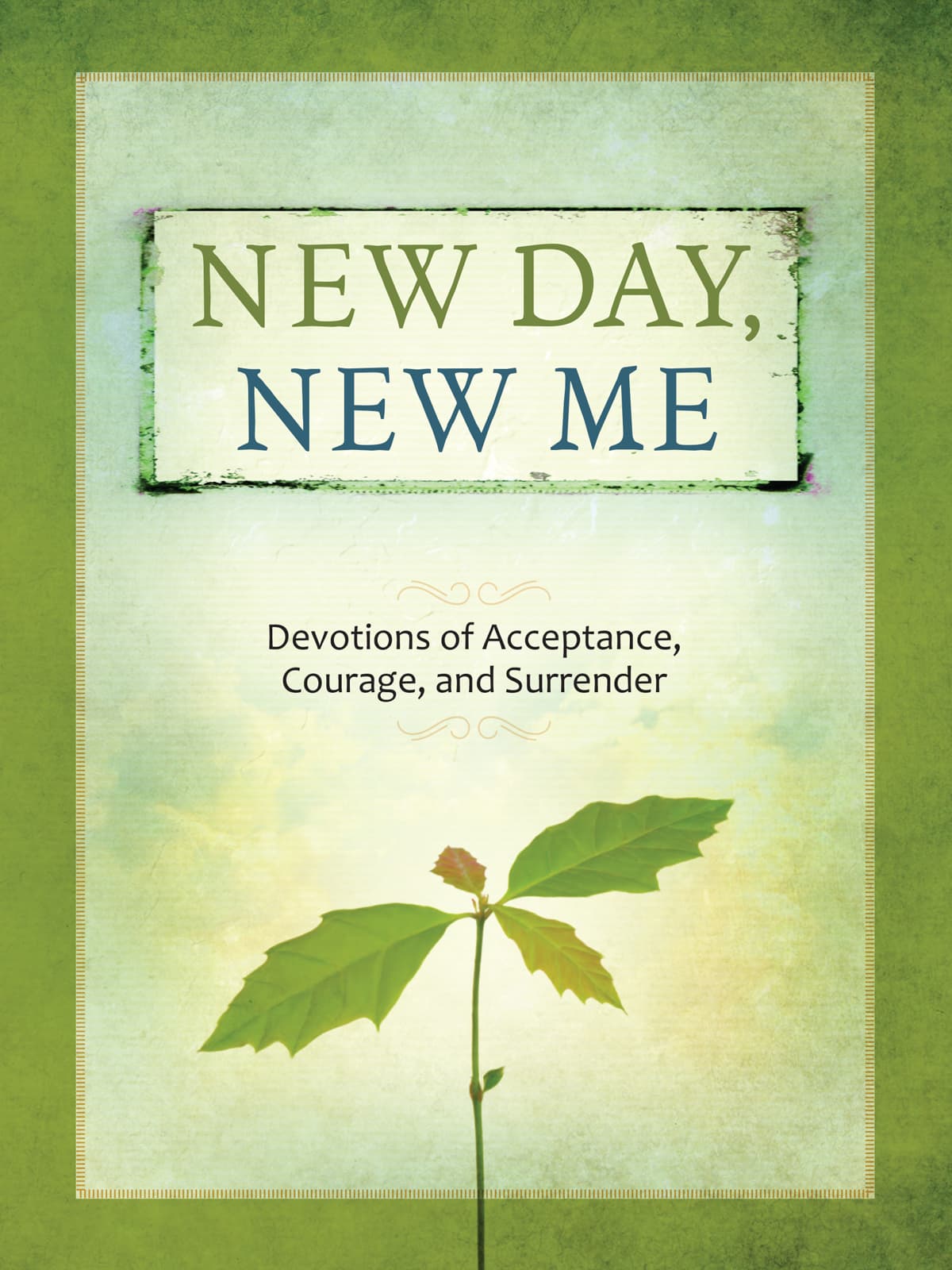cover_9781424550418.jpg