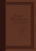 cover_9781424550661.jpg