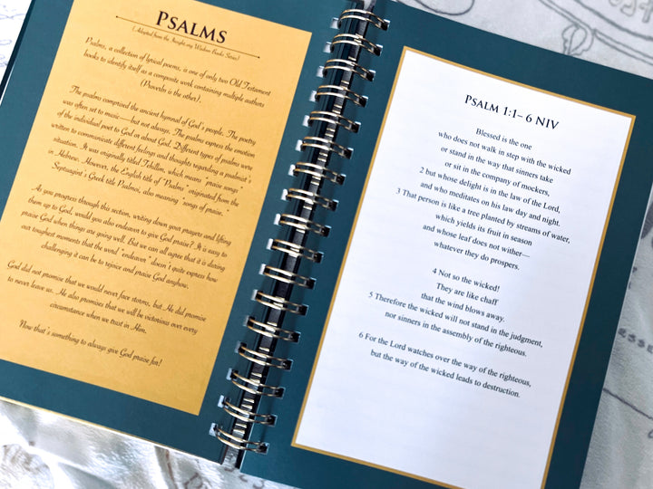 Affirm The Word Prayer Journal & Pen (Teal) - Affirm The Word Literary